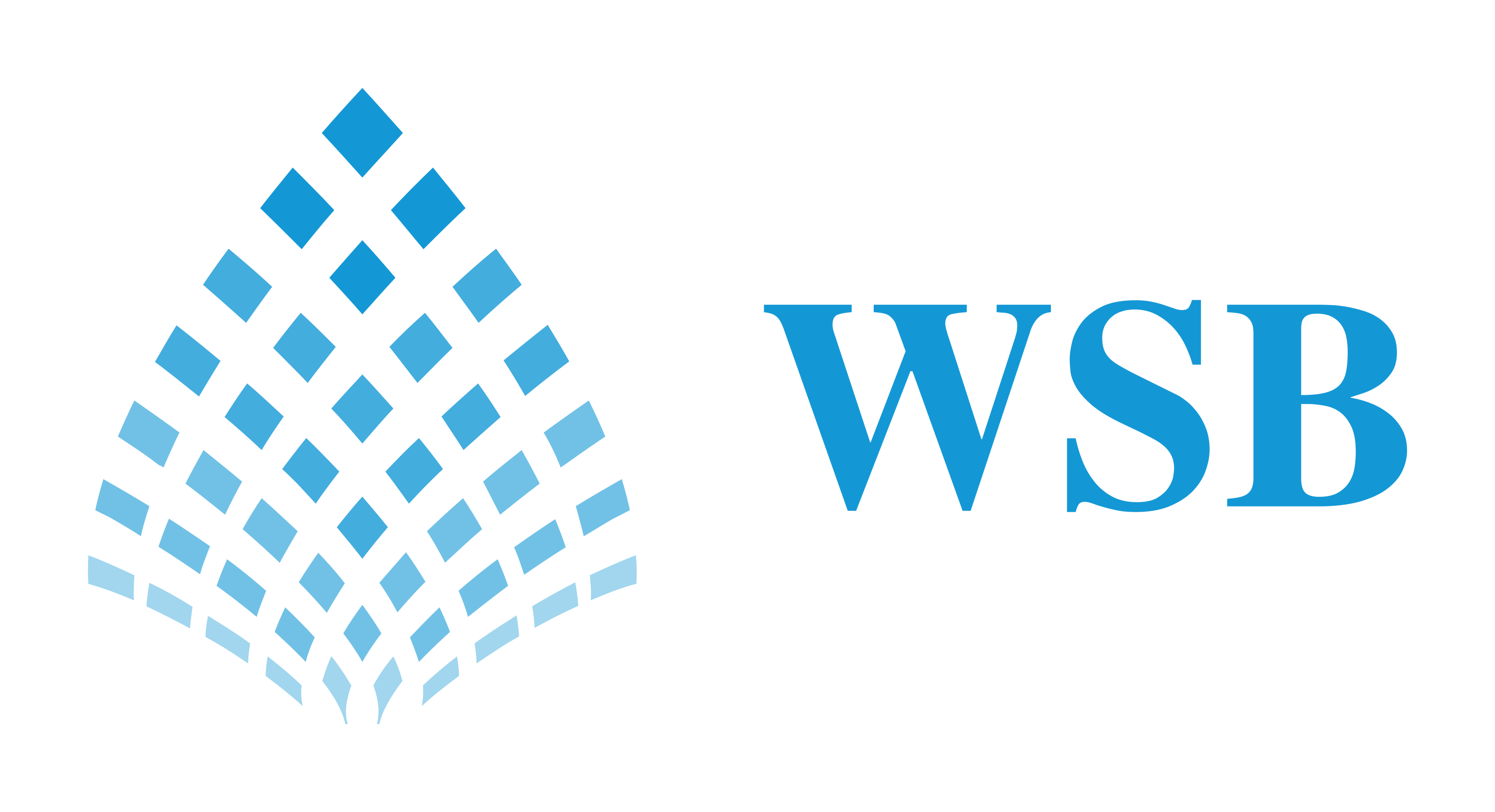 WSB Logistics